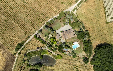 Podere Casanovina 12: Tree, Landscape, Bird'S-Eye View, Residential Area, Aerial Photography, Rural Area, Swimming Pool, Estate, Plantation, Landscaping