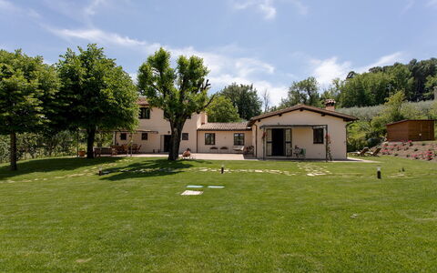 La Collina degli Ulivi 8+2: Grass, House, Landscape, Residential Area, Home, Plain, Rural Area, Land Lot, Lawn, Cottage