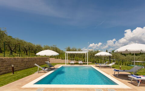 La Collina degli Ulivi 8+2: Swimming Pool, Outdoor Furniture, Resort, Sunlounger, Garden, Eco Hotel, Thermae, Landscaping, Estate, Hacienda