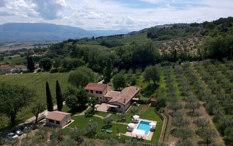 La Collina degli Ulivi 8+2: Food, Plantation, Agriculture, Estate, Bird'S-Eye View, Farmhouse, Mountain Village, Aerial Photography, Farm