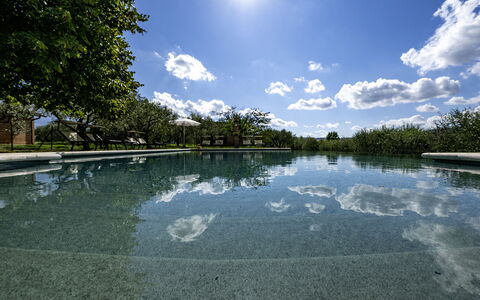 Podere Gellino 14: Blue, Water, Nature, Reflection, Swimming Pool, Pond, Garden, Water Feature, Reservoir, Reflecting Pool