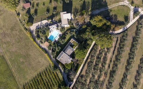 Brightline Villa 8: Tree, Residential Area, Bird'S-Eye View, Landscape, Swimming Pool, Aerial Photography, Urban Design, Estate, Landscaping, Suburb