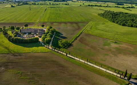 Villa le Beringhe 30: Plain, Grassland, Landscape, Field, Bird'S-Eye View, Land Lot, Aerial Photography, Rural Area, Plantation, Pasture