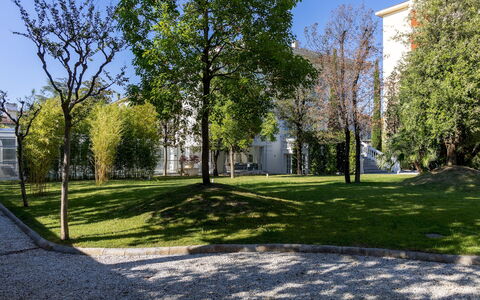 Villa la Perla Bianca 10: Branch, Leaf, Daytime, Tree, Grass, Green, Public Space, Residential Area, Lawn, Shade