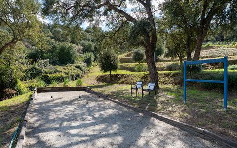 Villa Perelle 8: Tree, Public Space, Recreation, Leisure, Shade, Park, Soil, Trail, Woodland