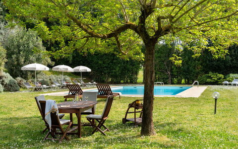 Villa delle Silerchie 10: Furniture, Outdoor Furniture, Table, Garden, Shade, Outdoor Table, Lawn, Chair, Backyard, Yard
