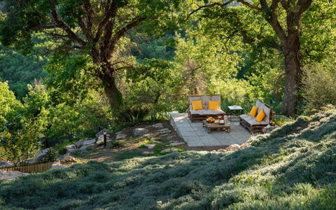 Cottage Dolcevista 4+2: Furniture, Vegetation, Outdoor Furniture, Plant Community, Garden, Chair, Nature Reserve, Sunlight, Shade, Landscaping
