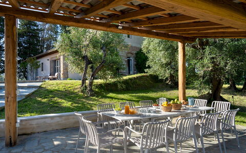 Il Poggione 10: Furniture, Wood, Table, Outdoor Furniture, Chair, Outdoor Table, Shade, Kitchen & Dining Room Table, Outdoor Structure, Garden