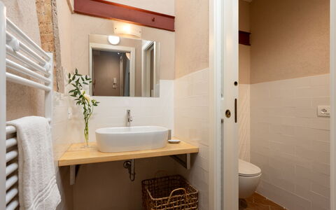 Il Poggione 10: Bathroom, Wall, Plumbing Fixture, Flooring, Bathroom Sink, Floor, Wood, Interior Design, Sink, Toilet Seat