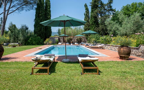 Villa Collegigliato 8: Swimming Pool, Resort, Garden, Shrub, Outdoor Furniture, Sunlounger, Landscaping, Eco Hotel, Shade, Hacienda
