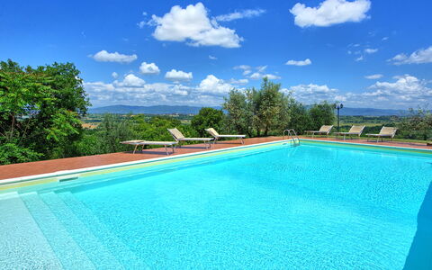 Villa Ulivi: Water, Sky, Cloud, Swimming Pool, Blue, Azure, Rectangle, Shade, Plant, Grass