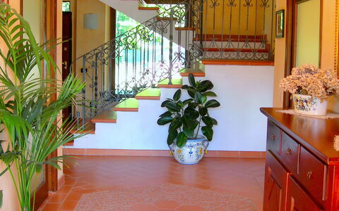 Villa Saida: Property, Floor, Room, Building, Houseplant, Lobby, Interior Design, Tile, Real Estate, Flooring