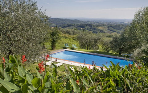 La Loggia 13: Property, Swimming Pool, House, Real Estate, Grass, Tree, Villa, Rural Area, Building, Landscape