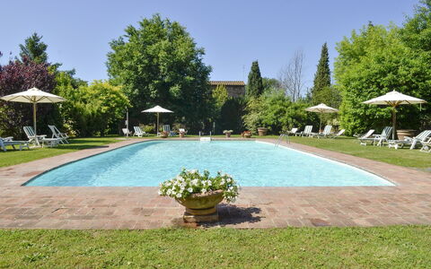 San Pietro: Property, Swimming Pool, Real Estate, Grass, Lawn, Residential Area, Tree, Vacation, Leisure, Estate