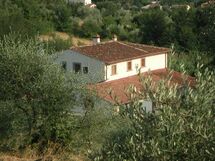 Accommodation:&nbsp;Appartamento Melograni