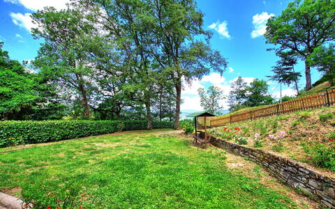 Villa Margherita: Nature, Vegetation, Property, Green, Sky, Natural Landscape, Real Estate, Tree, Grass, Garden
