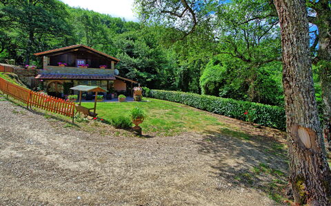Villa Margherita: Property, Natural Landscape, Tree, House, Grass, Real Estate, Landscape, Architecture, Rural Area, Forest