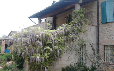 Appartamento Piscina