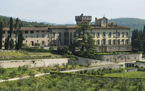 overlooking of the 17th century villa wich dominates the Estate