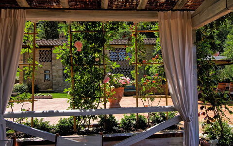 Villa Petrognano: Property, Pergola, Botany, House, Tree, Building, Architecture, Plant, Garden, Home