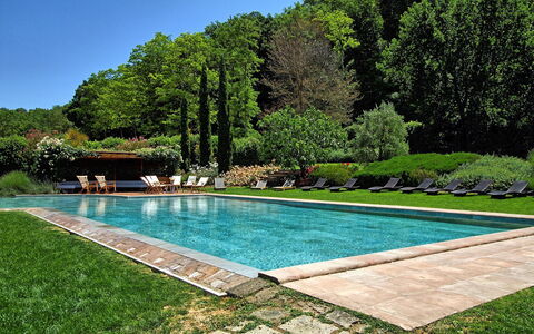 Villa Petrognano: Swimming Pool, Natural Landscape, Property, Grass, Backyard, Yard, Leisure, Landscaping, Landscape, Estate