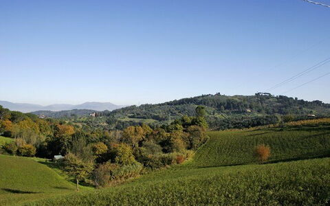 La Selva: Natural Landscape, Hill, Nature, Mountainous Landforms, Sky, Grassland, Vegetation, Field, Highland, Natural Environment