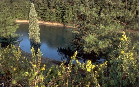 La Selva: Vegetation, Nature, Nature Reserve, Biome, Natural Landscape, Wilderness, Tree, Plant Community, Water, Plant