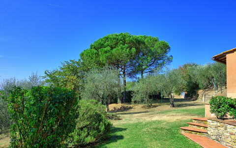 La Selva: Nature, Green, Natural Landscape, Tree, Property, Vegetation, Sky, Grass, Garden, Real Estate