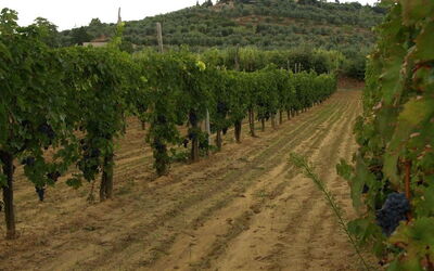 Tiberio
