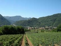 Accommodation:&nbsp;Maria Luisa