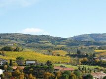 View from Casa Verdiana