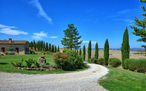 San Donnino: Nature, Sky, Tree, Natural Landscape, Blue, Property, Grass, Cloud, Biome, Woody Plant