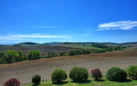 San Donnino: Sky, Hill, Cloud, Highland, Tree, Grassland, Rural Area, Wilderness, Grass, Field