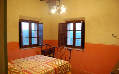 Accommodation:&nbsp;Ficus