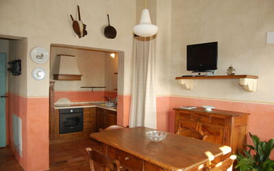 Accommodation:&nbsp;Ficus