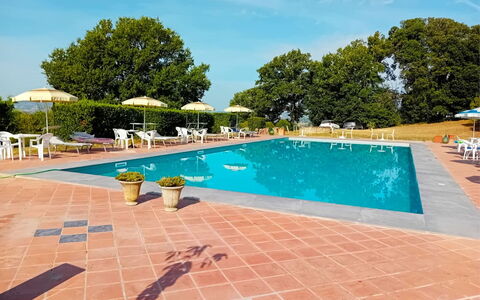 Fattoria le Chianacce: Water, Sky, Plant, Building, Swimming Pool, Azure, Tree, Outdoor Furniture, Cloud, Chair