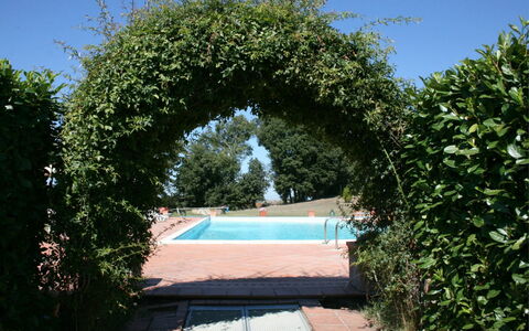 Fattoria le Chianacce: Arch, Property, Architecture, Tree, Sky, Botany, Shrub, Garden, Plant, Real Estate