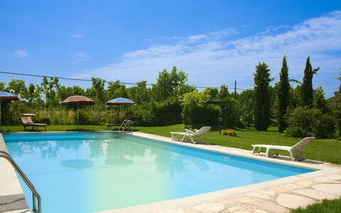 Pozzonovo: Swimming Pool, Blue, Outdoor Furniture, Resort, Leisure, Shade, Eco Hotel, Sunlounger, Thermae, Landscaping