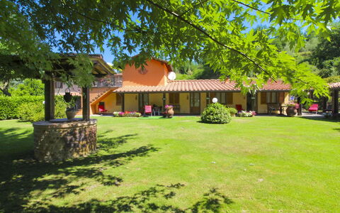 Le Balze: House, Land Lot, Garden, Lawn, Roof, Shade, Cottage, Spring, Hacienda, Backyard