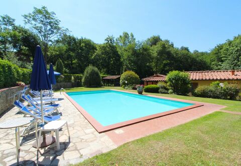 Le Balze: Plant, Sky, Property, Swimming Pool, Shade, Tree, Water, Chair, Grass, Leisure