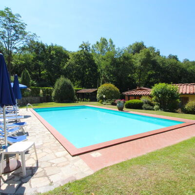 Le Balze: Plant, Sky, Property, Swimming Pool, Shade, Tree, Water, Chair, Grass, Leisure