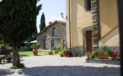La Greppia: Plant, Building, Sky, Flowerpot, Road Surface, Architecture, Tree, Neighbourhood, House, Houseplant