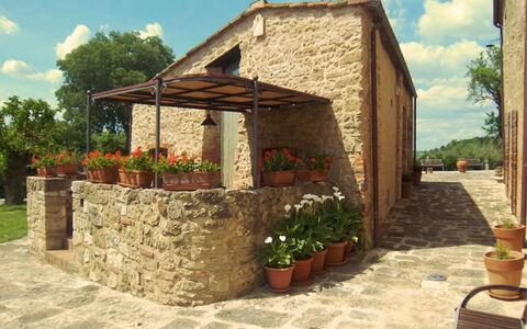 Pieve di Sant Ippolito: Plant, Flower, Sky, Cloud, Property, Building, Flowerpot, Tree, Shade, Wood