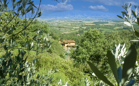 La Rogaia: Umbrella, Furniture, Outdoor Furniture, Shade, Chair, Outdoor Table, Flowerpot, Swimming Pool, Design, Houseplant