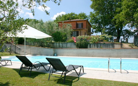 Podere San Bono: Water, Building, Sky, Plant, Property, Furniture, Nature, Tree, Swimming Pool, Shade