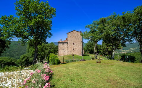 Torre di Vignale: Tree, Landscape, Land Lot, Rural Area, Park