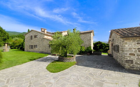 Casale Lorenzo: Tree, Plain, Land Lot, Lawn, Garden, Estate, Meadow, Landscaping, Yard, Farmhouse