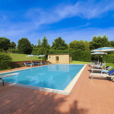 Casale Lorenzo: Tree, Plain, Land Lot, Lawn, Garden, Estate, Meadow, Landscaping, Yard, Farmhouse