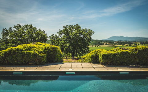 Poggio Falcone: Water, Cloud, Sky, Plant, Water Resources, Natural Landscape, Azure, Rectangle, Swimming Pool, Vegetation