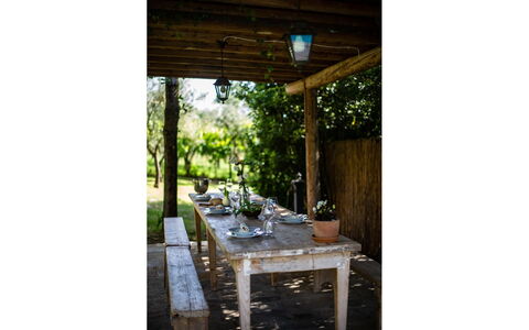 Villa degli Olivi: Plant, Table, Building, Wood, Shade, Tree, Outdoor Table, Outdoor Furniture, Beam, Porch